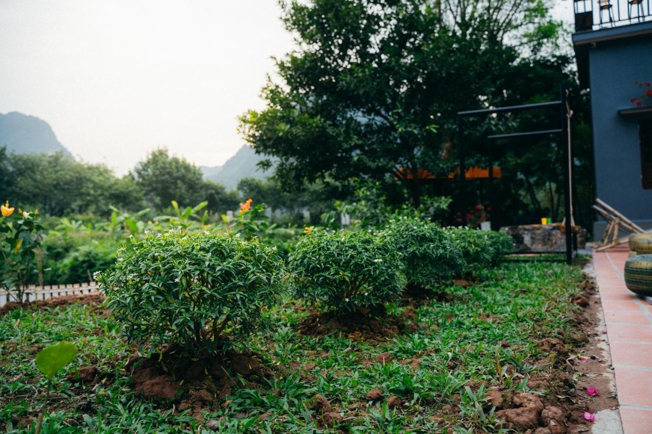 Trang An Freedom Hood Hostel Ninh Binh Bagian luar foto